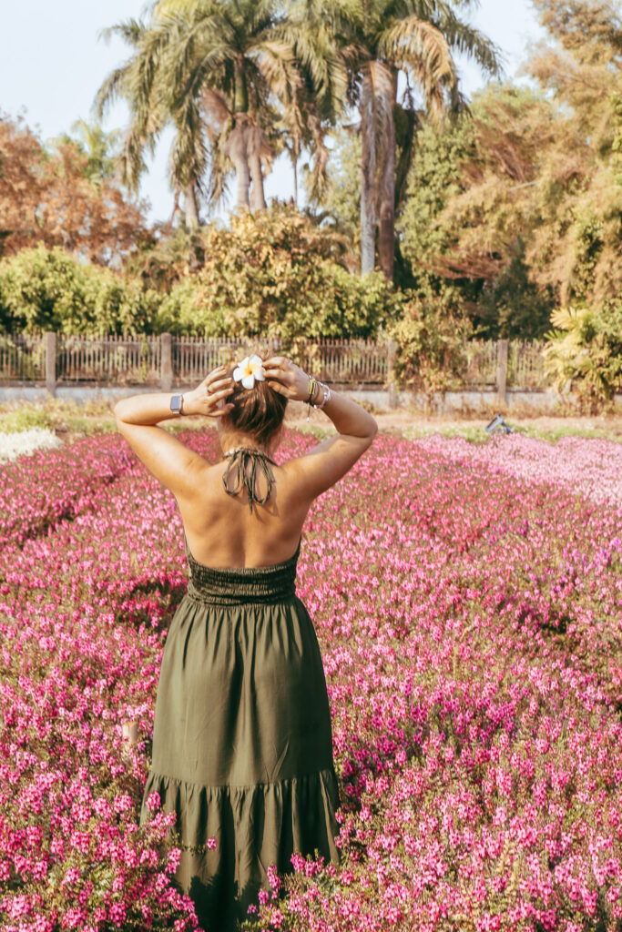 Adeline Bernard au milieu d’un champ de fleurs colorées à Chiang Mai