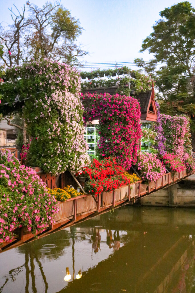 Pont fleuri enjambant un canal pendant le Flower Festival 2025