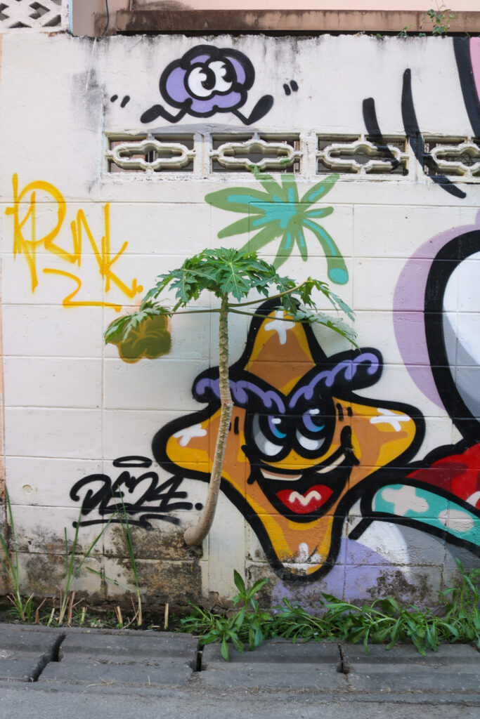 Street art Chiang mai 