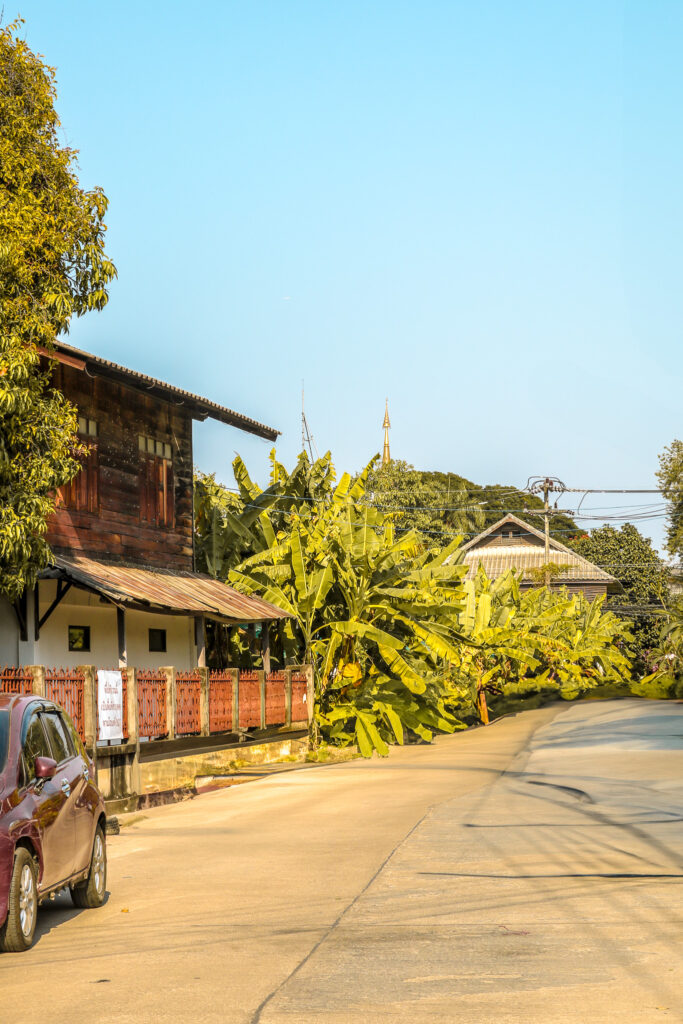 Mood tropical d’une ruelle à Chiang mai