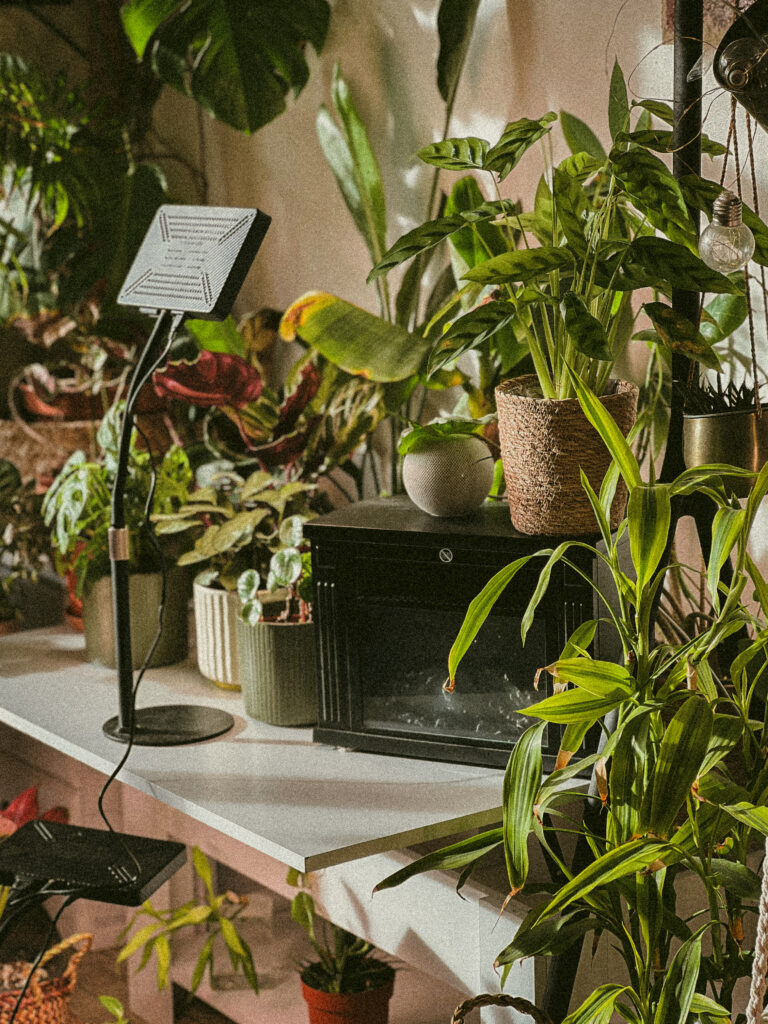 Jungle urbaine avec éclairage horticole pour plantes tropicales intérieur