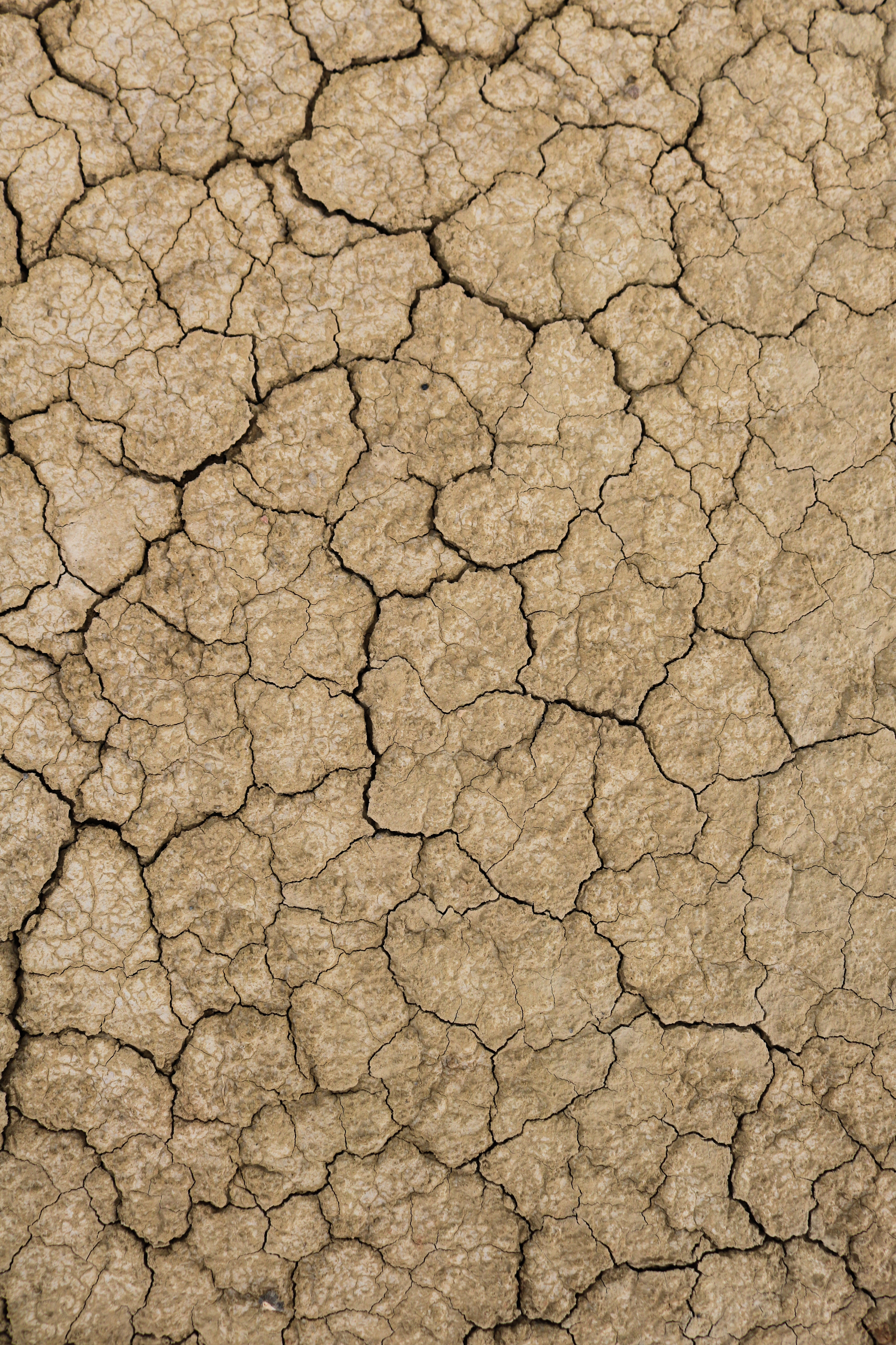 Sol de terre craquelée par la sécheresse illustrant le manque d'hydratation et l'importance des actifs cosmétiques pour la peau.